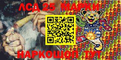 шишки Бийск