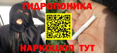 прущие грибы Беслан