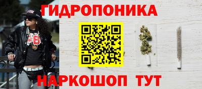 шишки Бийск