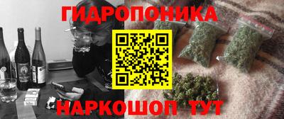 шишки Бийск