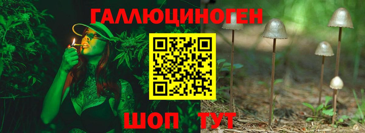 Галлюциногенные грибы мицелий  магазин    Кандалакша  Вход с VPN 